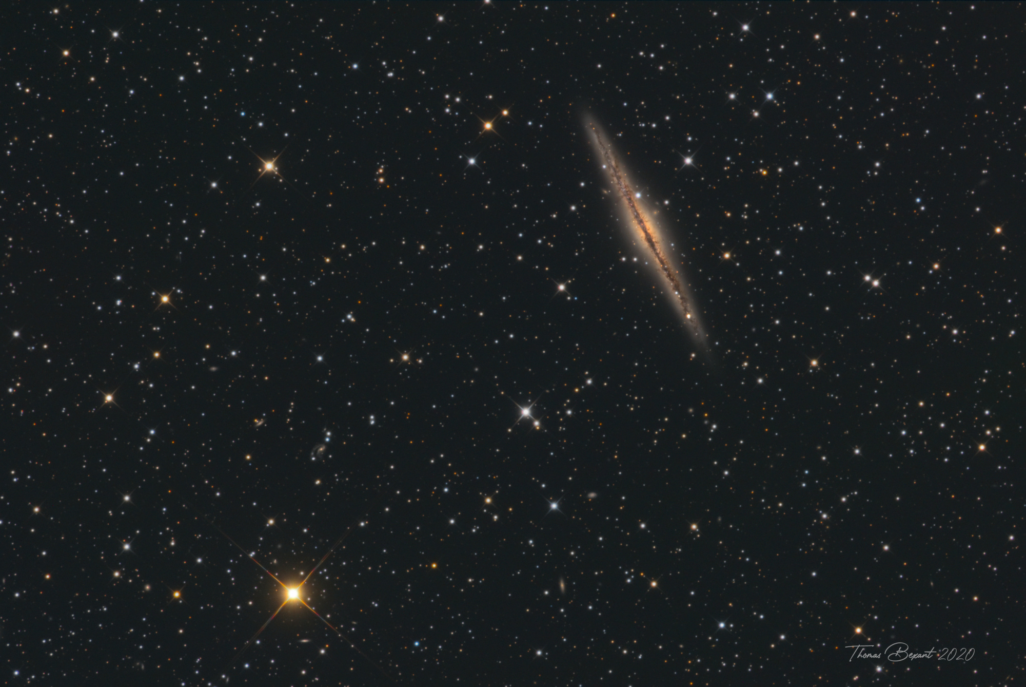 NGC891-TBexant-Newthom-VF.thumb.jpg.d3bbadb690cfb4a8979e4d69234a9927.jpg