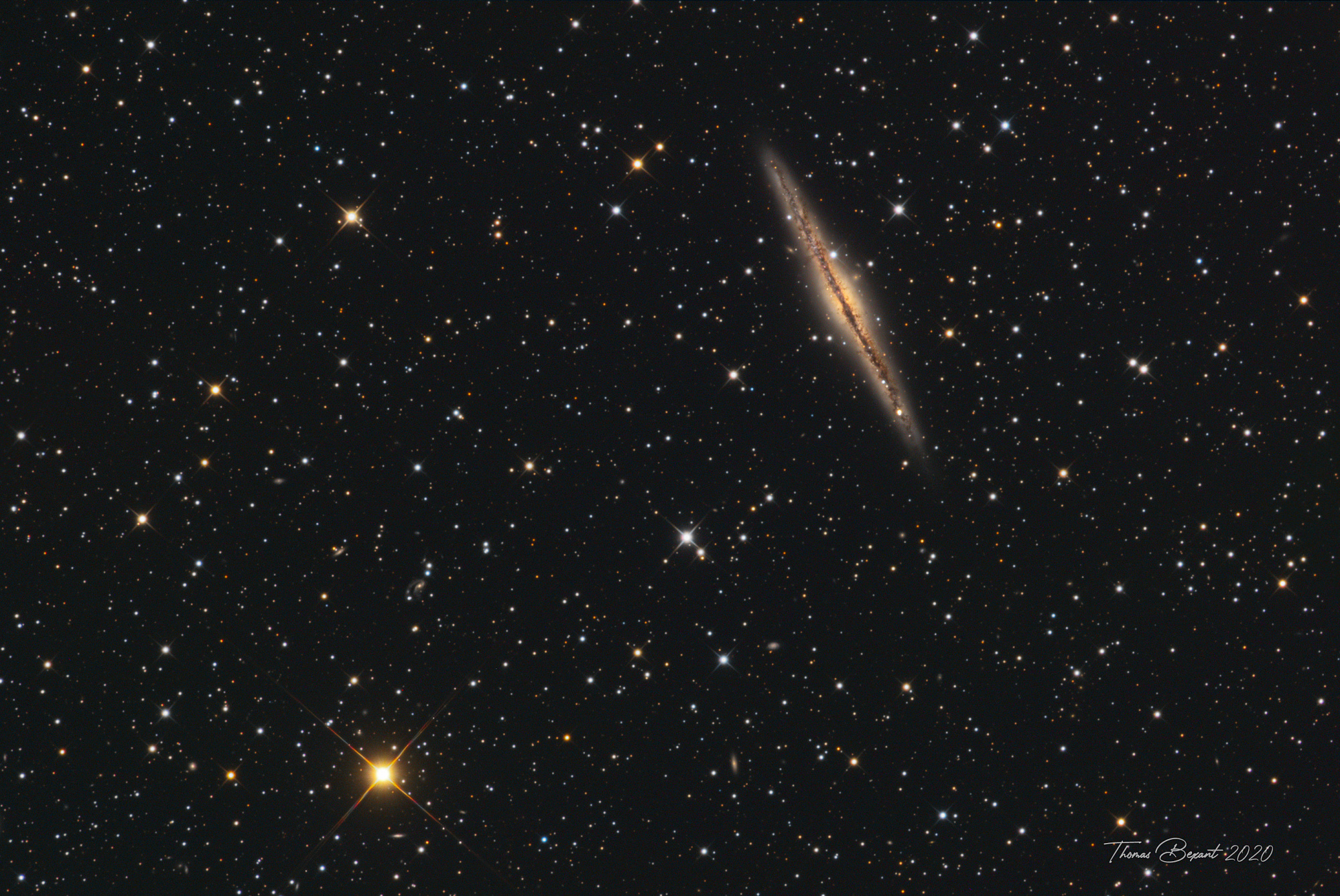 NGC891-TBexant-Newthom.jpg.a2250d757e06546159728da4757a293d.thumb.jpg.81b7559a010d7666b34d78a73d9ae018.jpg