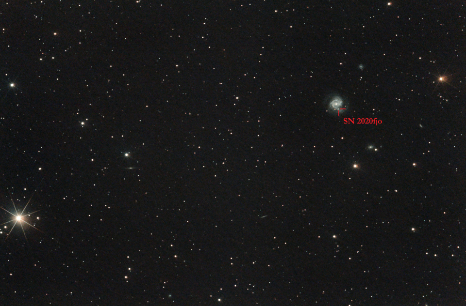 M61 et sa SN2020 annotée.jpg