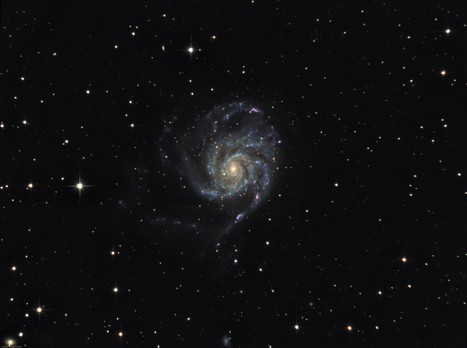 La galaxie du Moulinet (M101)
