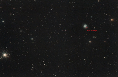 M61 et sa SN2020 annotée.jpg