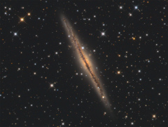 NGC 891-TBexant-Newthom.jpg