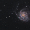 M101-TBexant-Newthom.jpg
