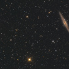 NGC 891-TBexant-Newthom.jpg