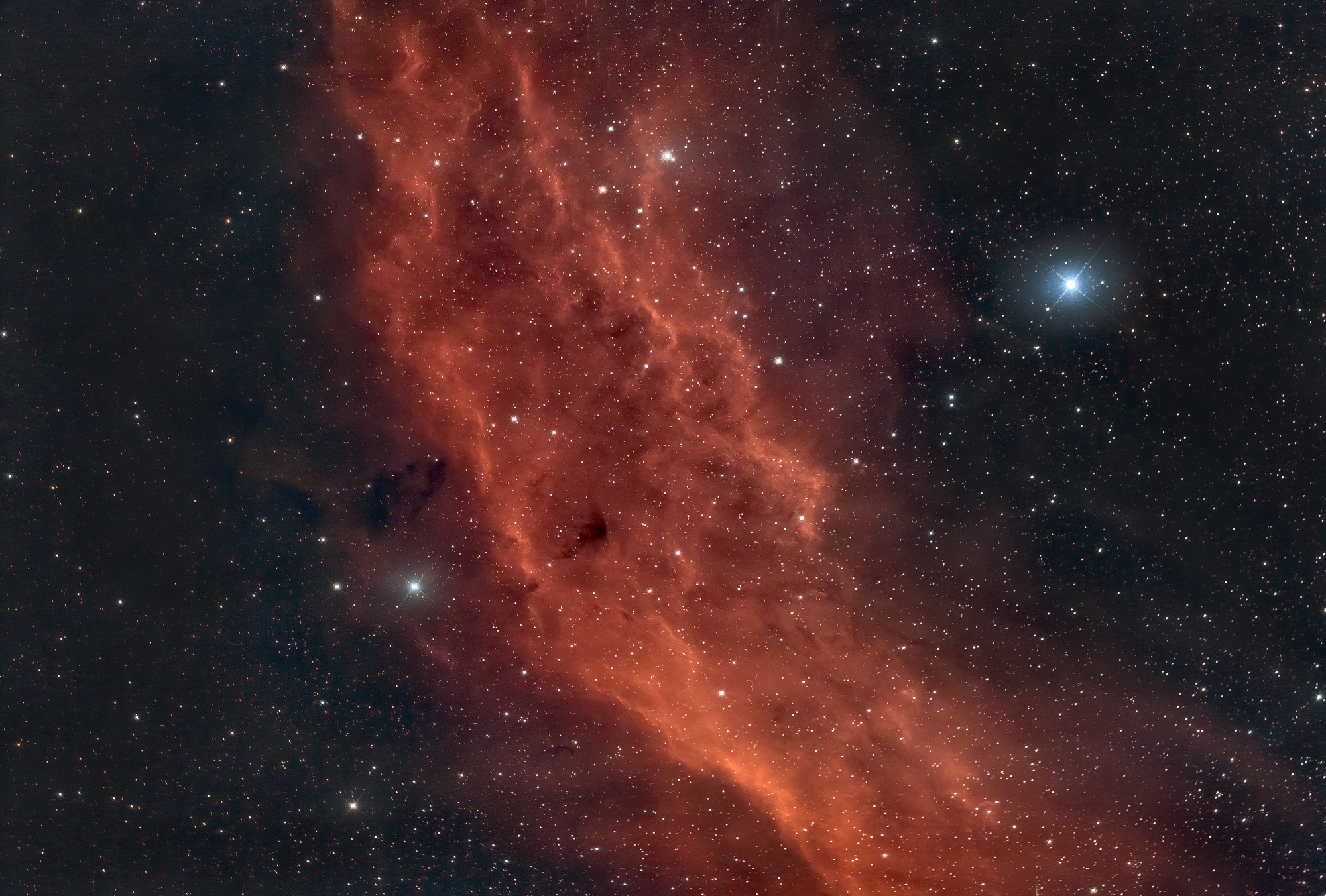 5fafd557171dd_NGC1499tosiepsilonduo7s.jpg.ec59d87c752f8b0d8789e78f809aac4b.jpg