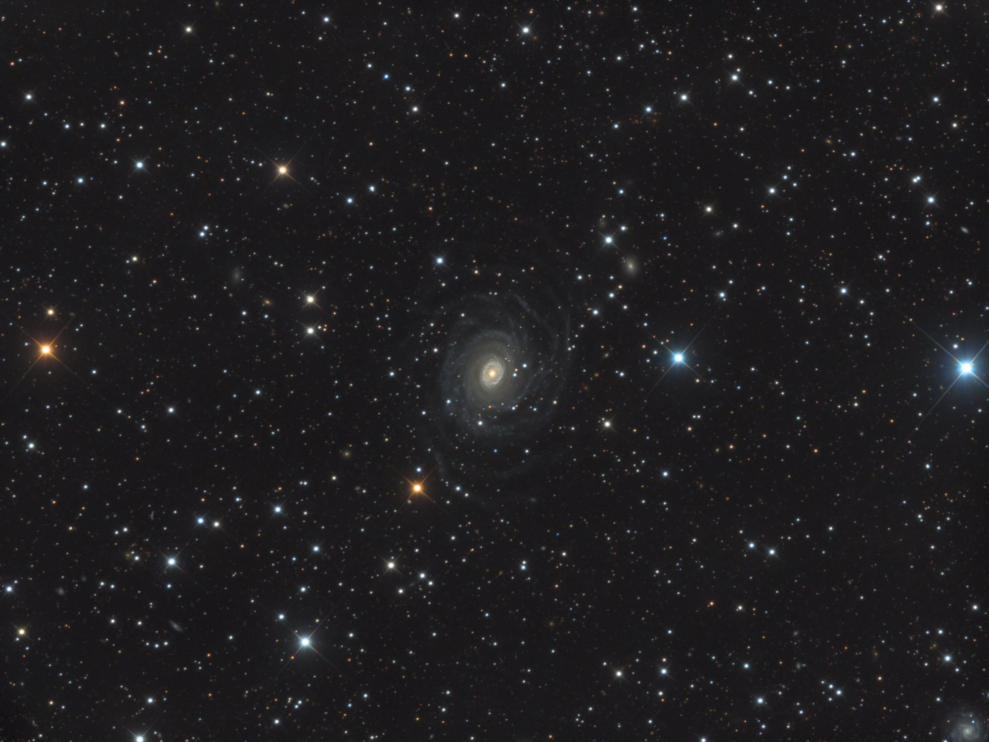 NGC6902-LRVB-V1.thumb.jpg.a5342ce7742d8fb4b06b4e459583ffab.jpg