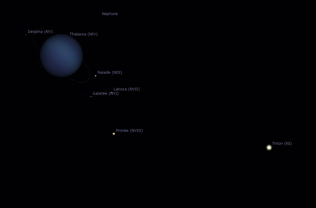 Neptune-01.jpg.6988770e15c4736cc88c94e597961d48.jpg
