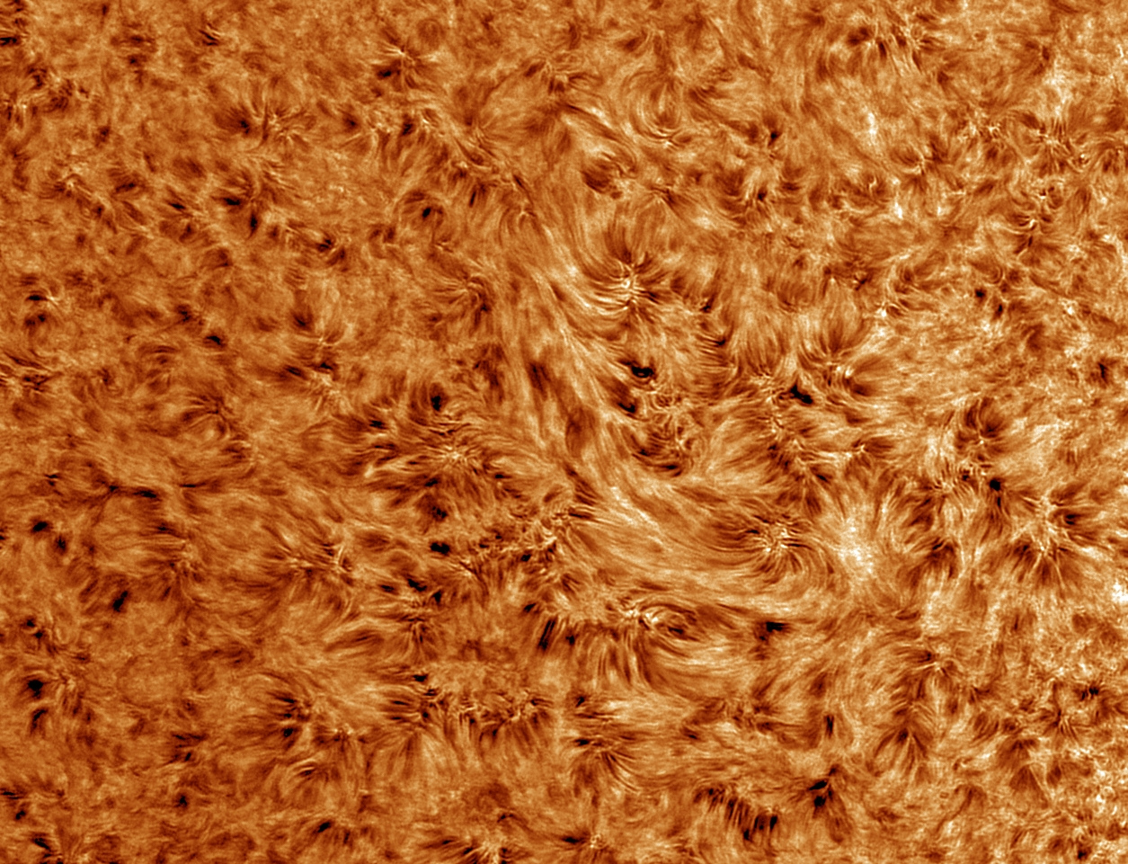 sol-b-14nov-coul.jpg.9d031f526bf2d323fa6083715f82b1ba.jpg