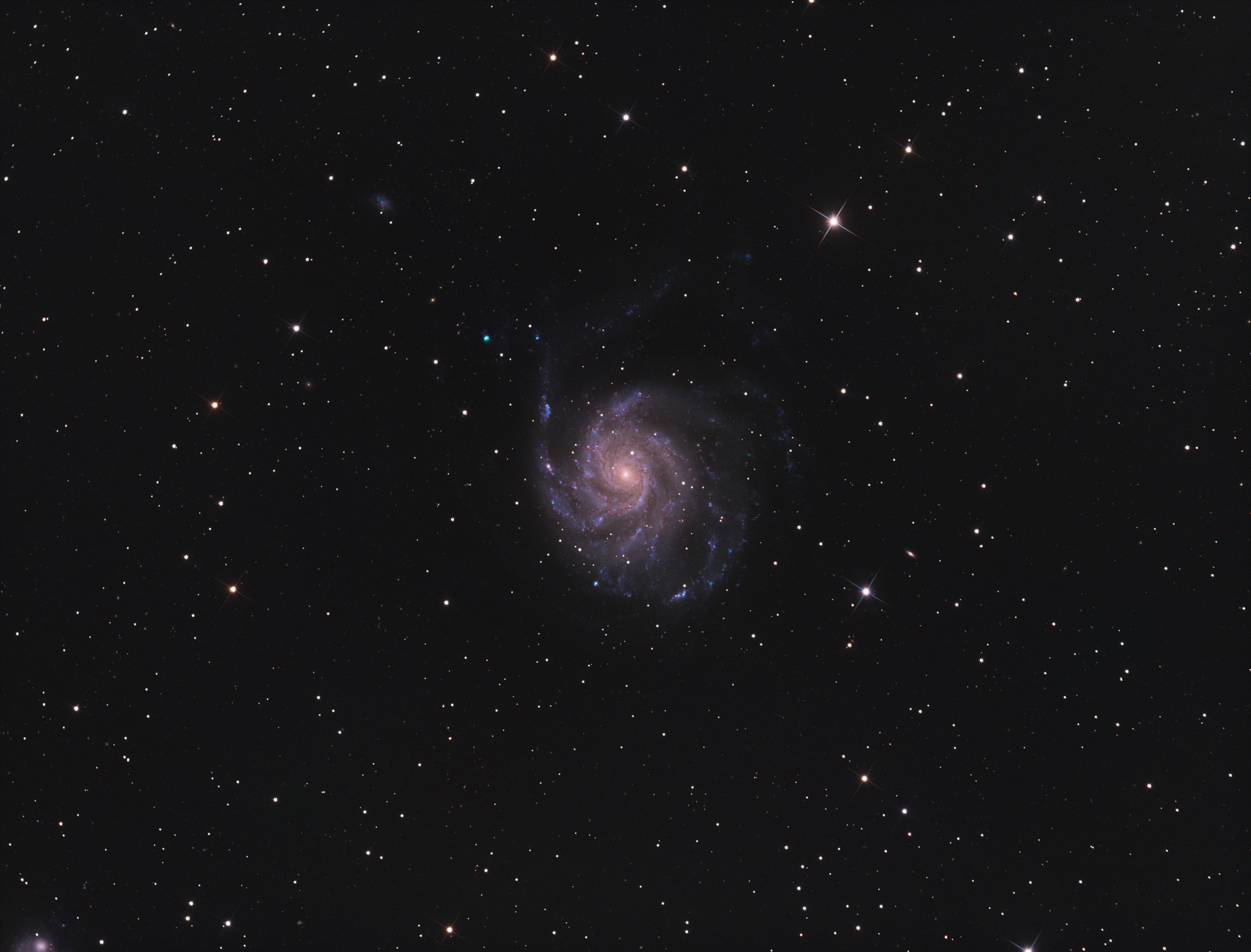 M101 final.jpg