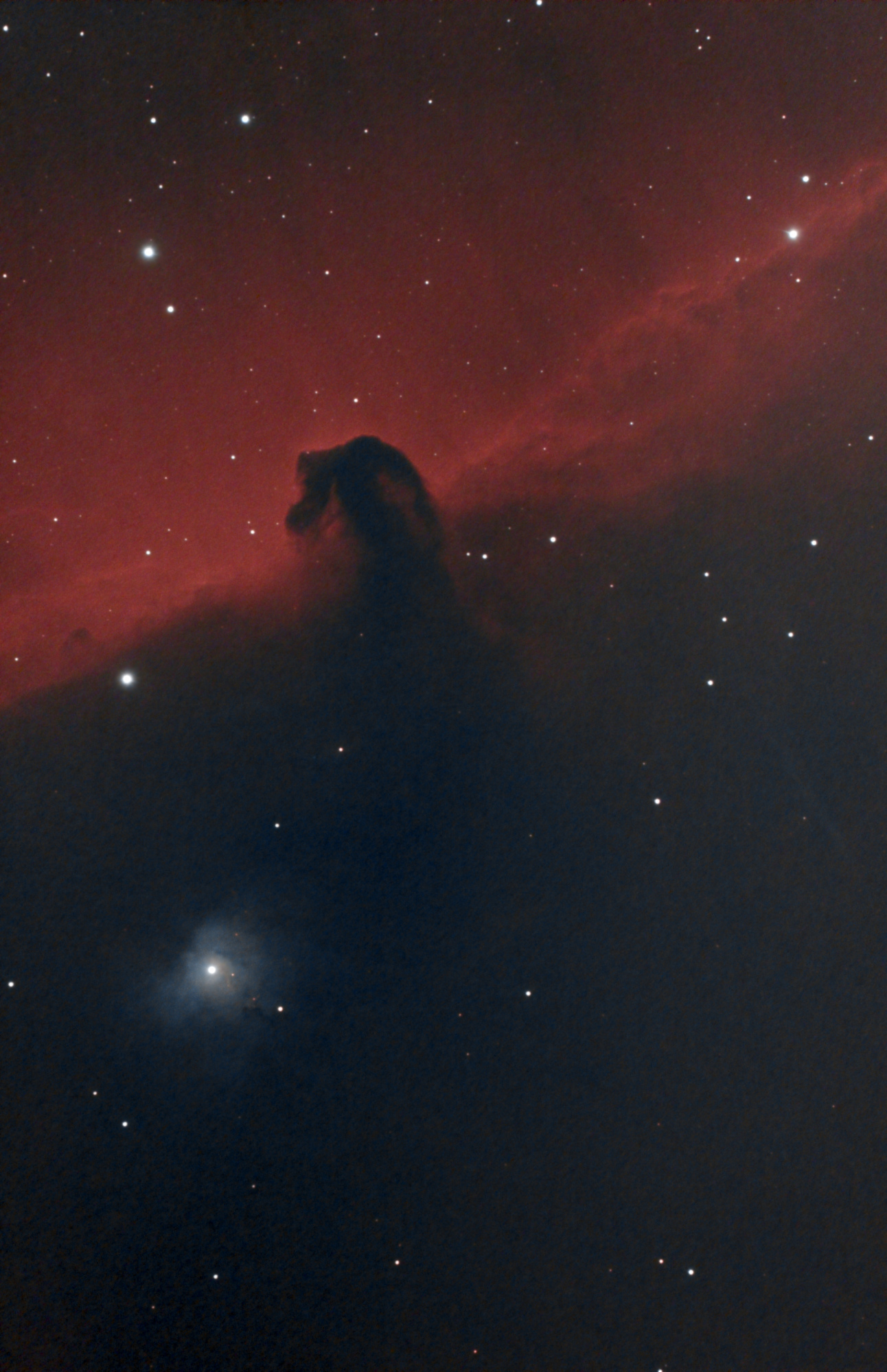 Horse_Nebula-RGB-session_1-1.thumb.jpg.3507efa0278cb072ad974394e323b8ad.jpg