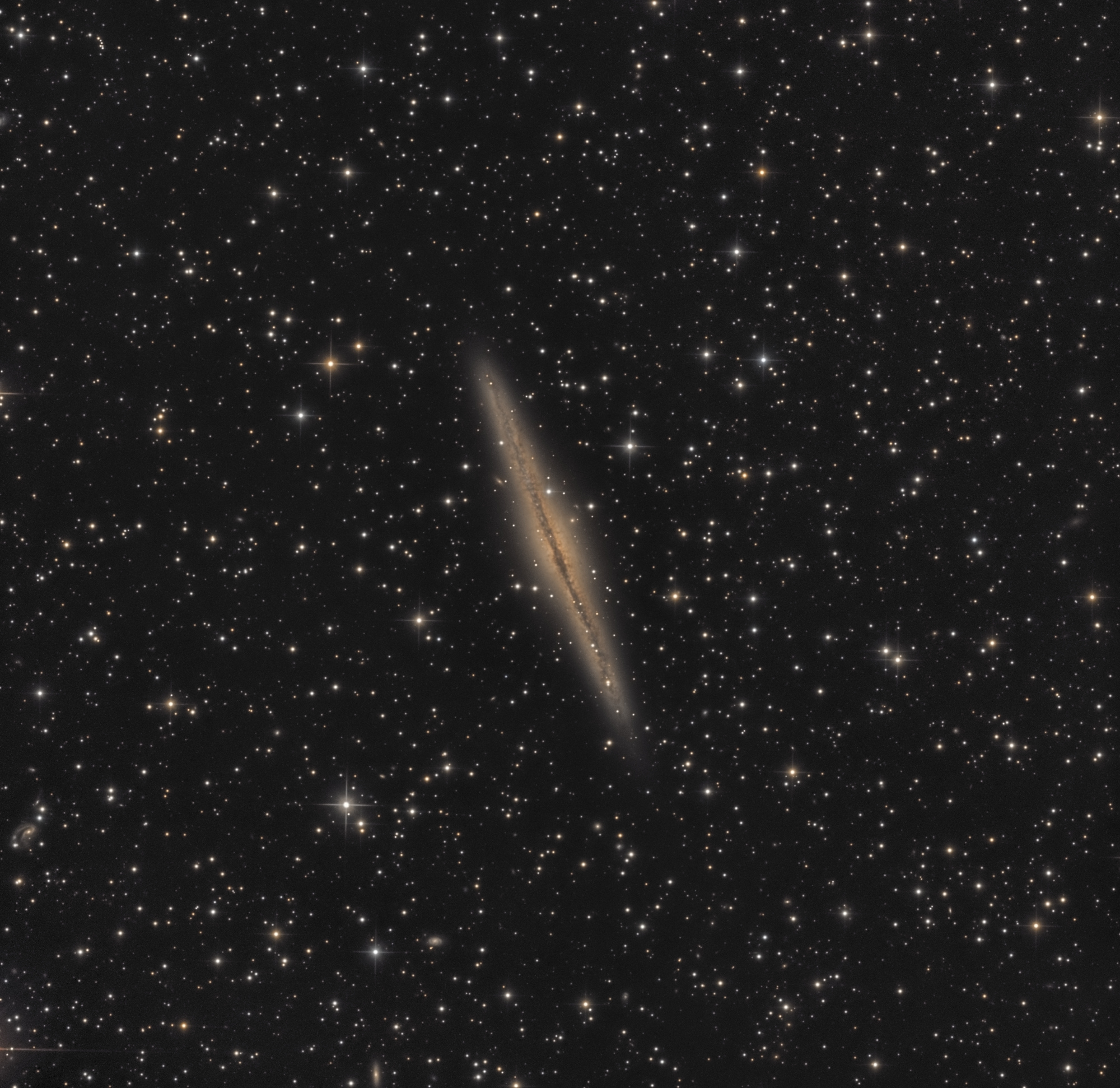 NGC891_LRVB.jpg