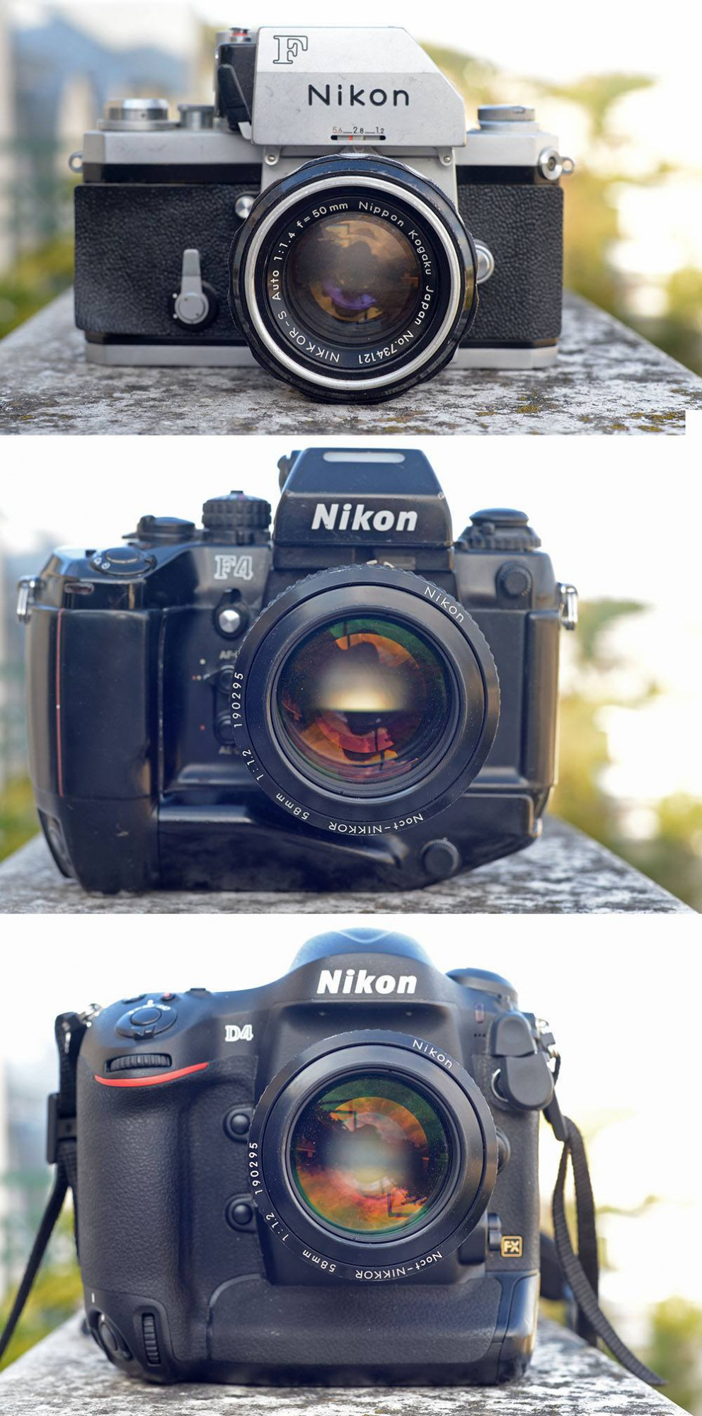 Nikon.jpg