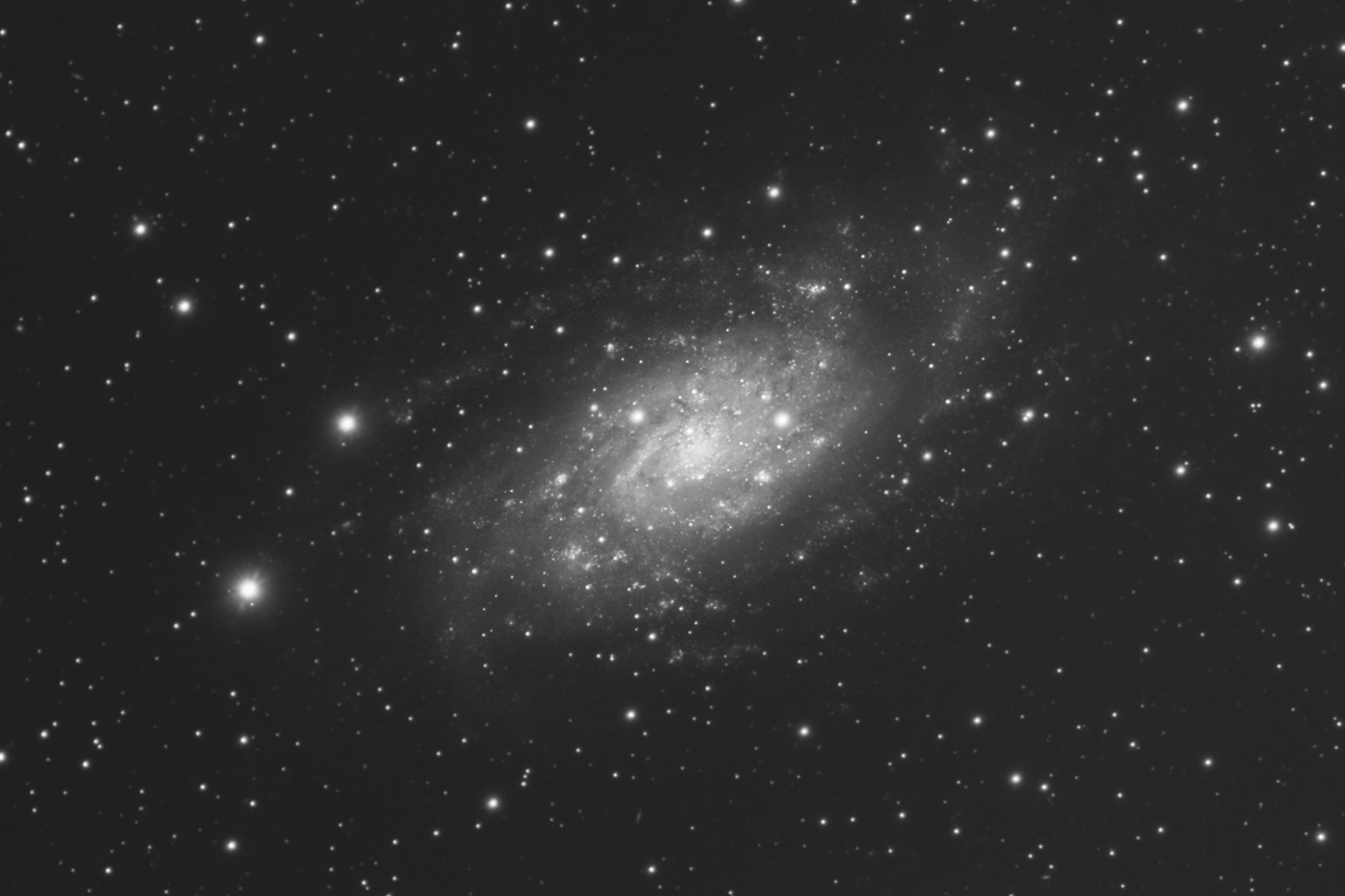 NGC2403L-2048.jpg