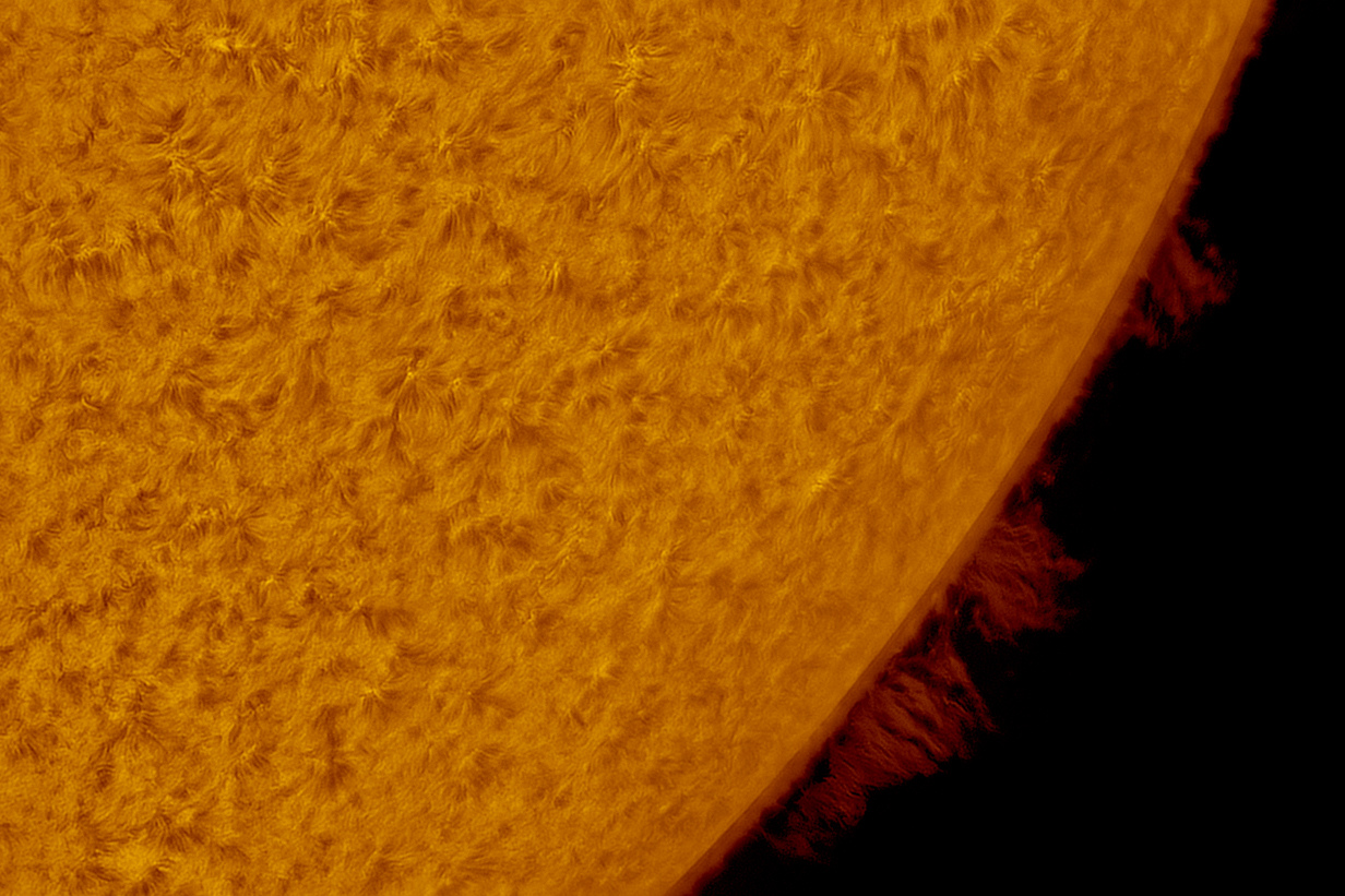 sun-halpha-protus_19-01-2021_reso0.4.jpg.dc8f6a7c07550b671b006d222ae88516.jpg