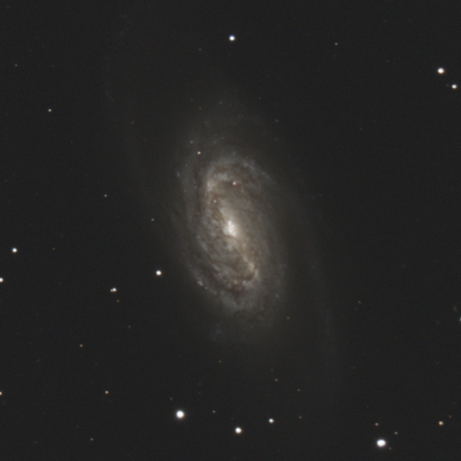 NGC2903_2021_02_14_SSFW_DOF_32im300s_c_s_r_eG_ecp_th0_C.jpg.33bedc19b5e96ba428cd5eb5a130e8ac.jpg