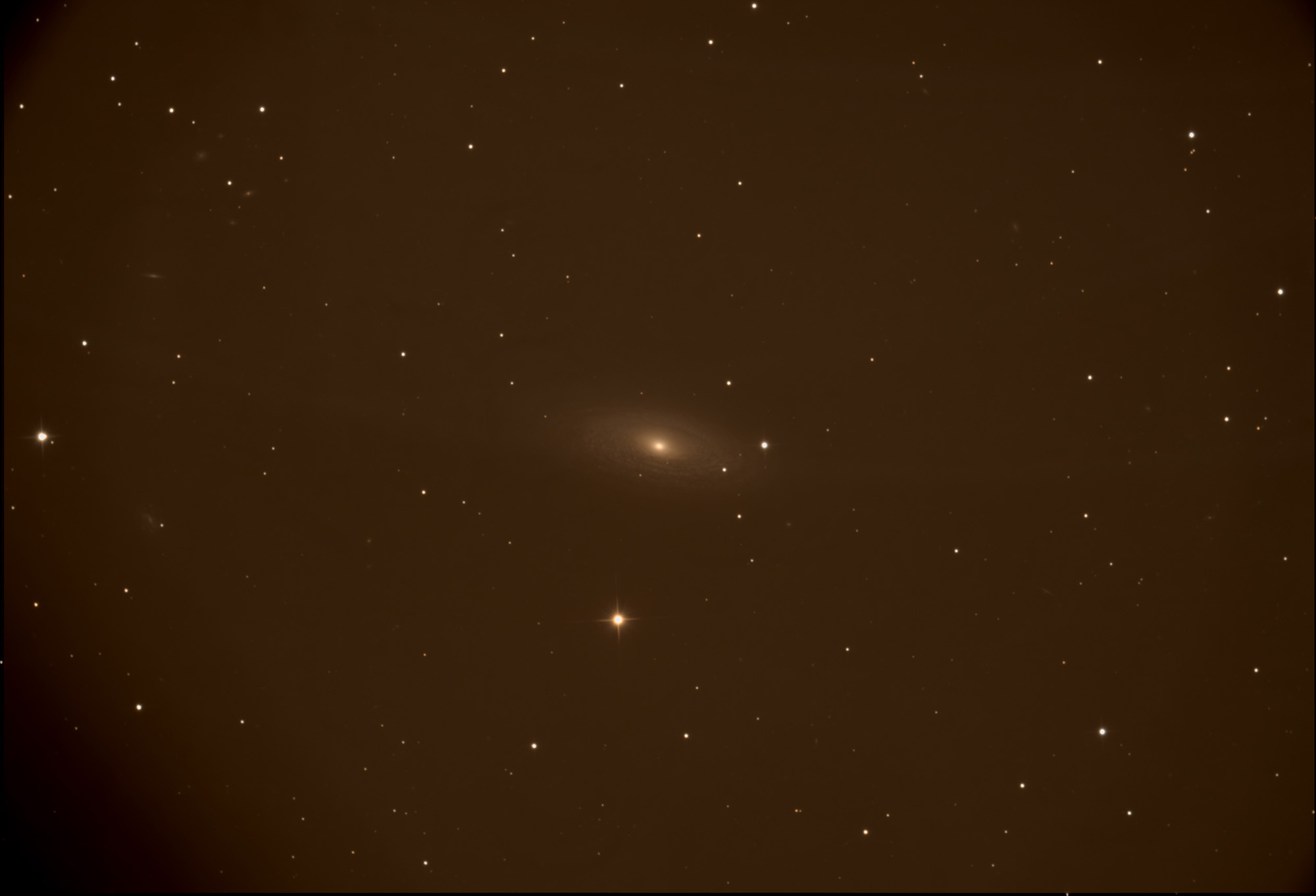 r_pp_NGC2841_stacked-scnr_asinh.jpg.ff80e9d6854828d4a87d5aff7500304f.jpg
