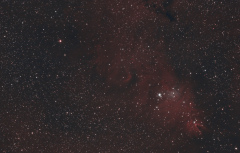NGC 2264 La nébuleuse du cône