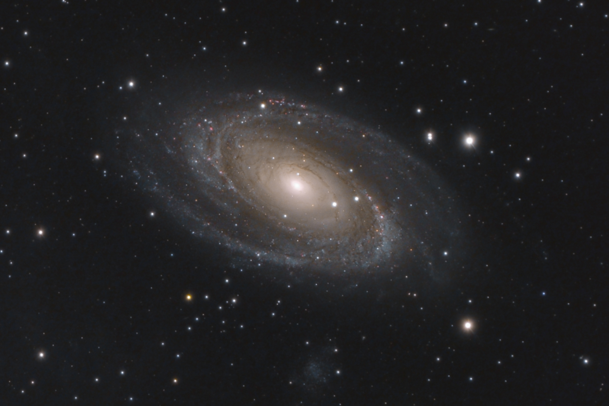 M81 HA L RGB-2048.jpg