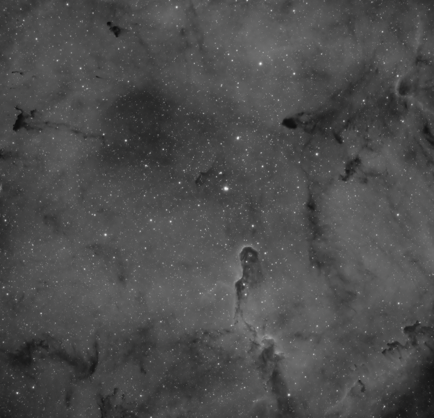 IC1396_220x120_111_HA_PNG-denoise_crop.png.69bf3b73b746a855151fec3ee18fda5f.png