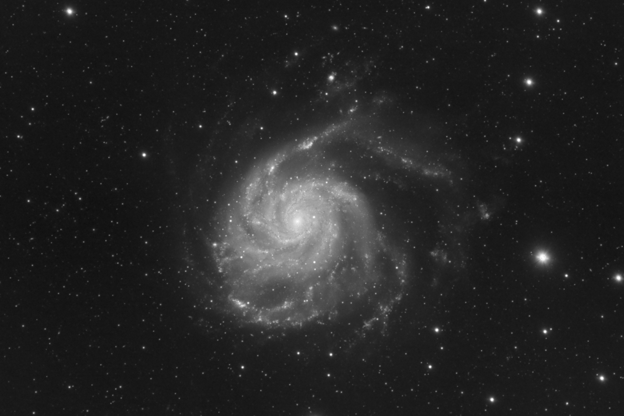 M101_Luminance-2048-.jpg