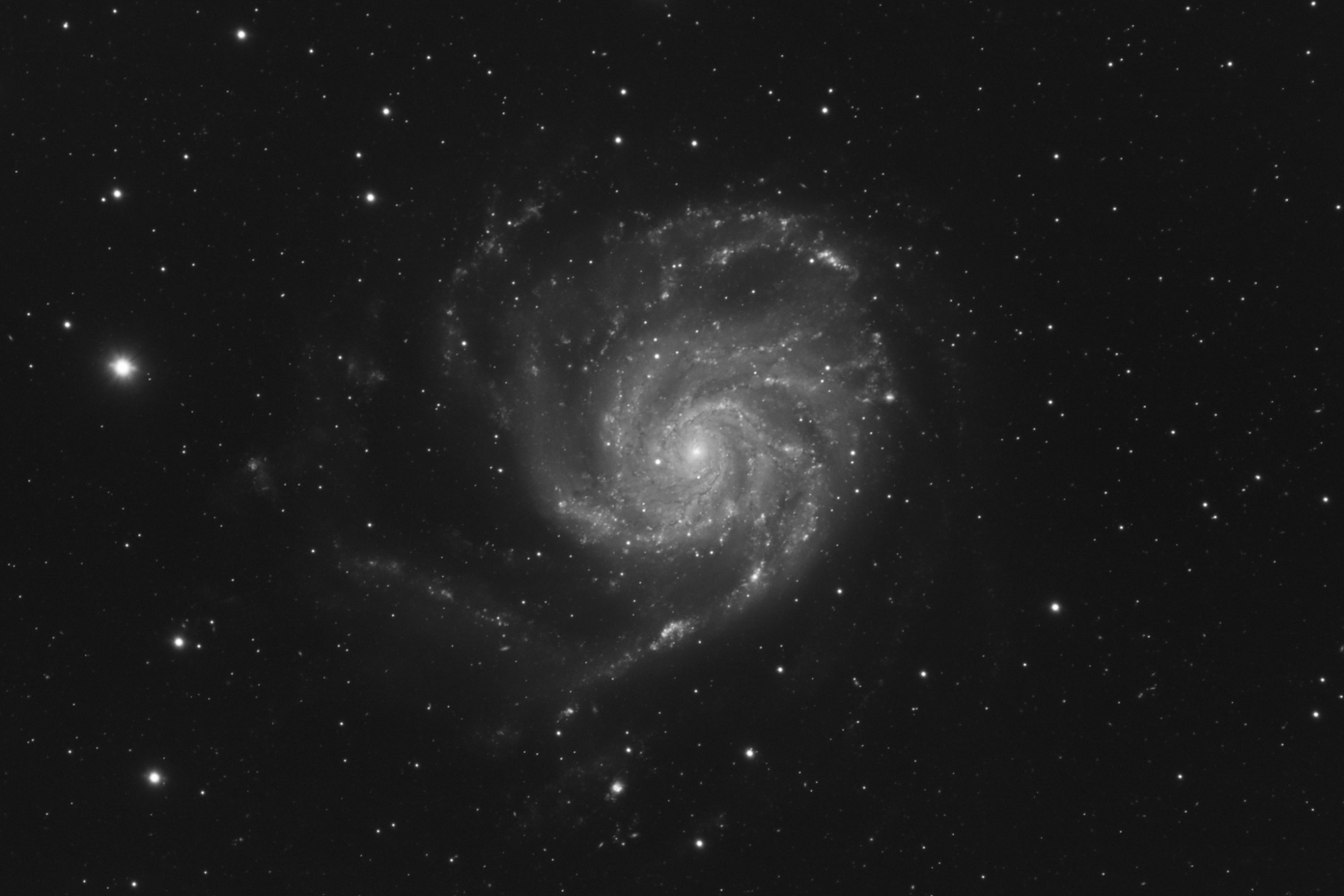 M101_Luminance-2048.thumb.jpg.6ccfe324c1690ff9c130a08909cc2ff0.jpg