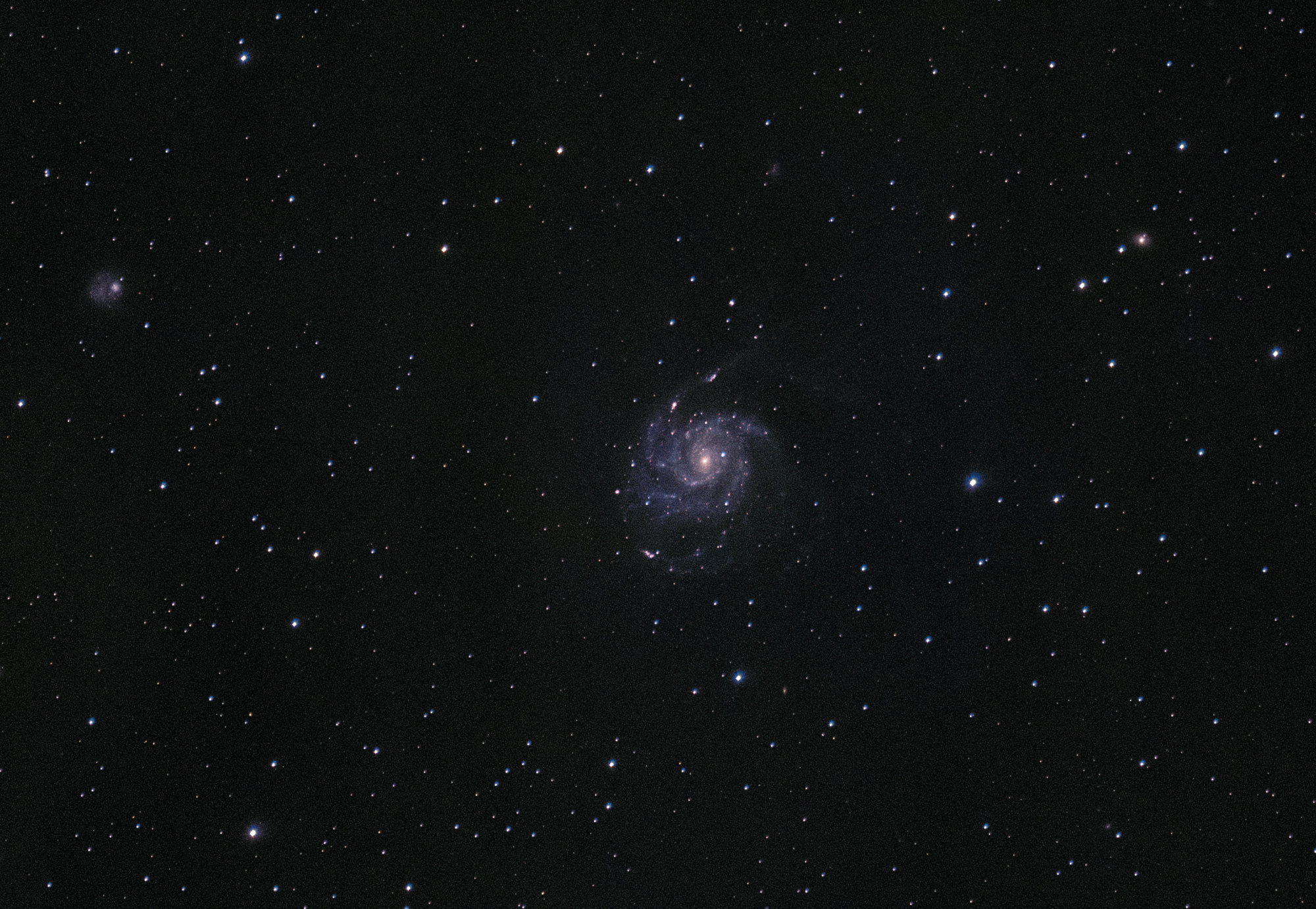 M101_smallRez.jpg.56a572df3874fcd4928cca47fe64c360.jpg