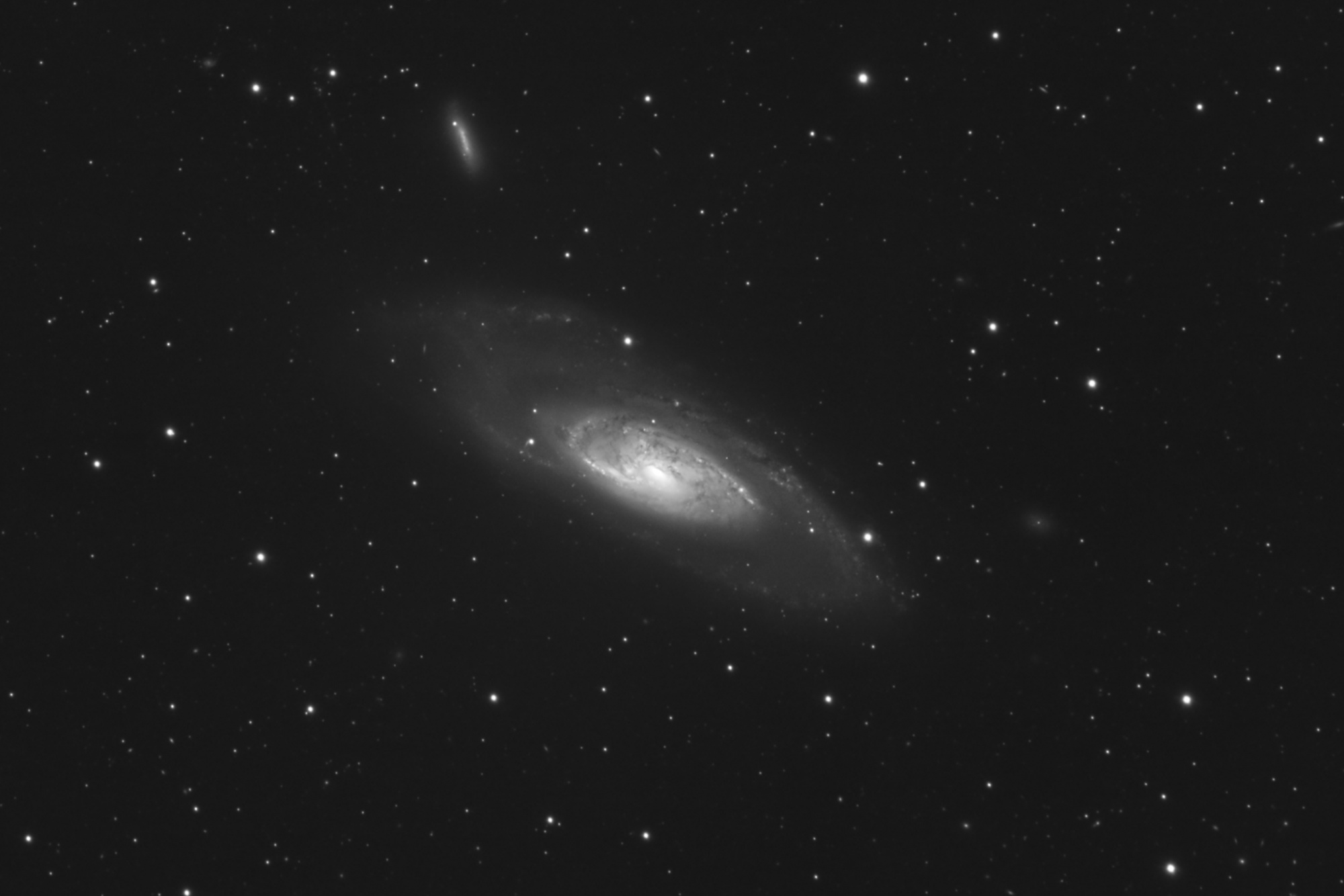 M106_Luminance-2048.thumb.jpg.a5551d9c5e9ab87719b0ebc3f1c6df24.jpg