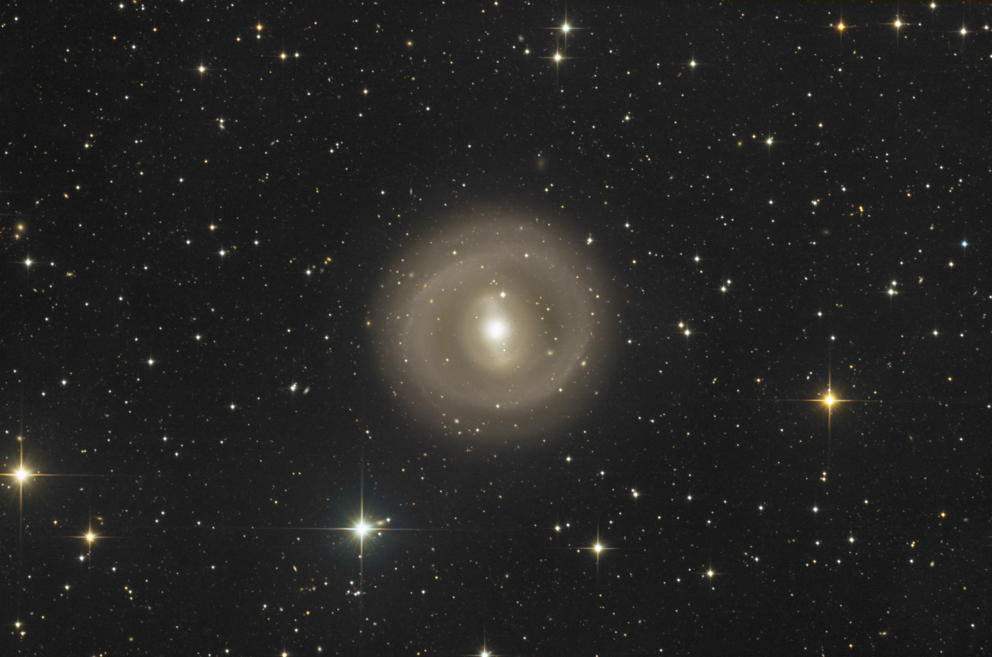 NGC1291_C_RGB_TG_210203A.thumb.jpg.0034a0eb5a4dd7ad082ac742062ee114.jpg