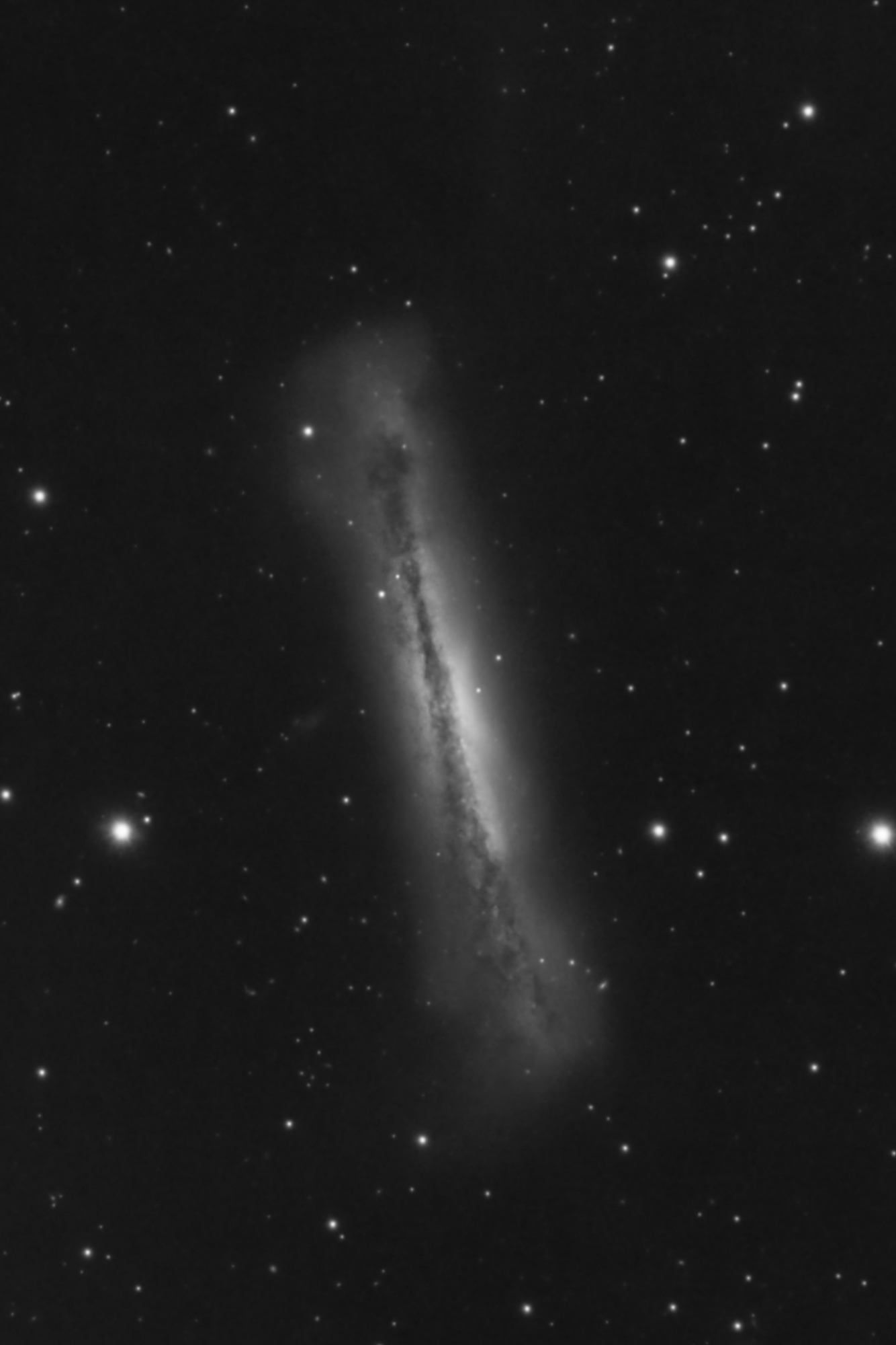 NGC3628.thumb.jpg.a014c951fd3d92fe028fac8639b44a87.jpg