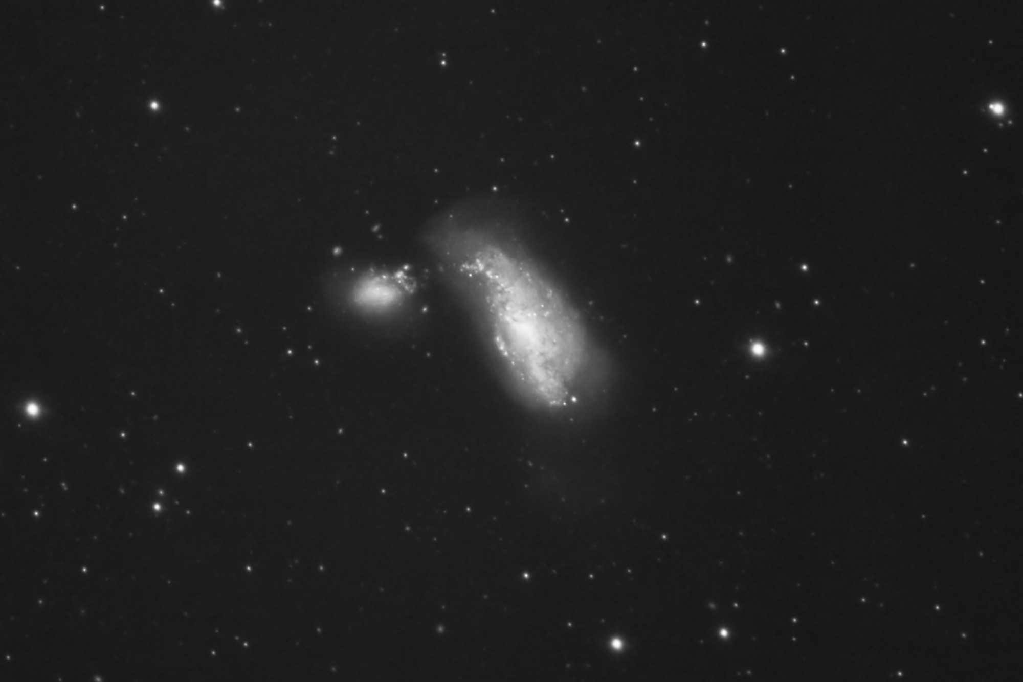 NGC4490-L.-2048jpg.thumb.jpg.42dde777e5e3f9e5711b47c77822b848.jpg