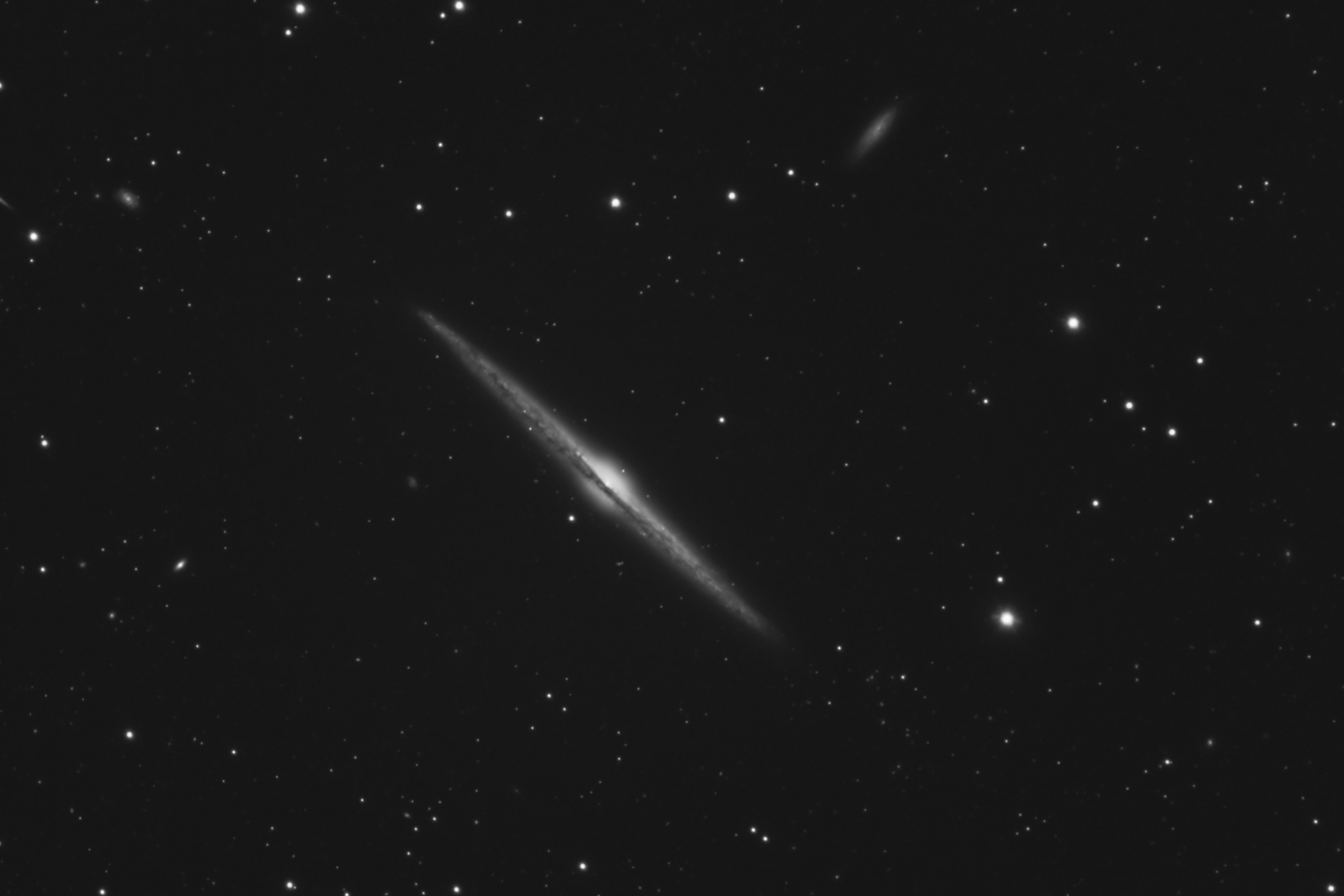 NGC4565-L-2048.thumb.jpg.2254a4255a6fbc65ae468a2d6b885736.jpg