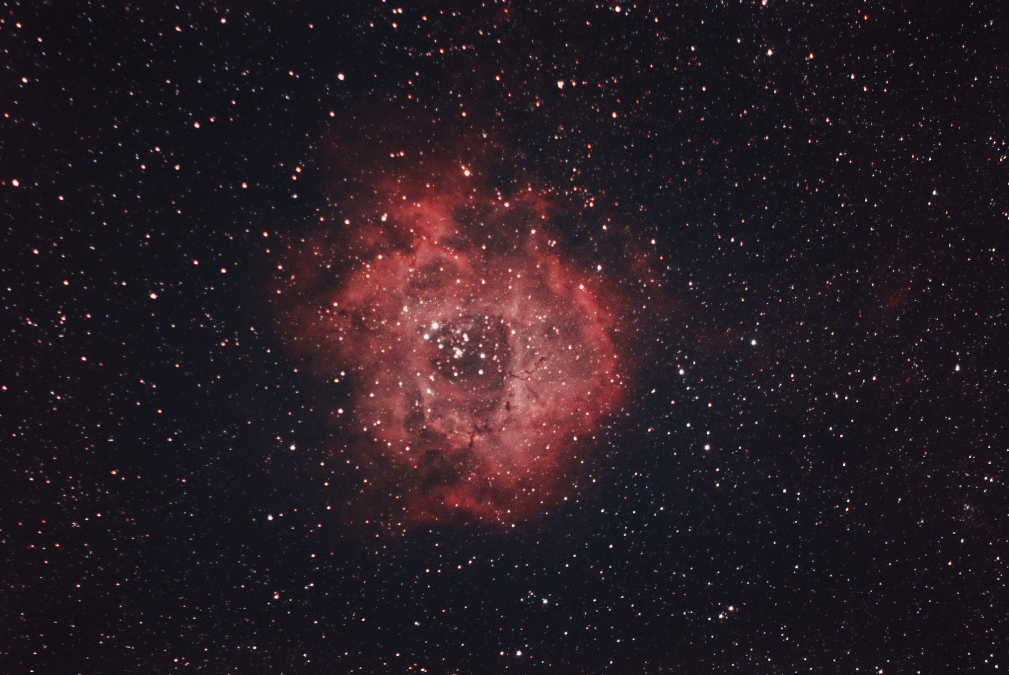 NGC_2239.jpg.bb342e7f7bddc7502e75435aa338180a.jpg
