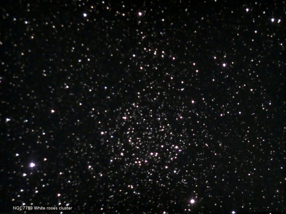 NGC7789 White roses cluster