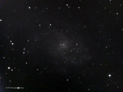 M33 Triangulum nebula