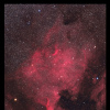 NGC7000  HaLHaRVB
