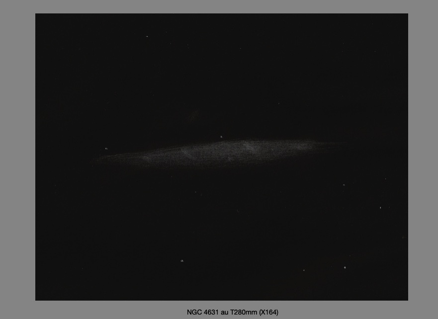 606add54bf259_NGC4631deBrnice..jpg.4bc87ba264feb985c30ef459cc0f7838.jpg