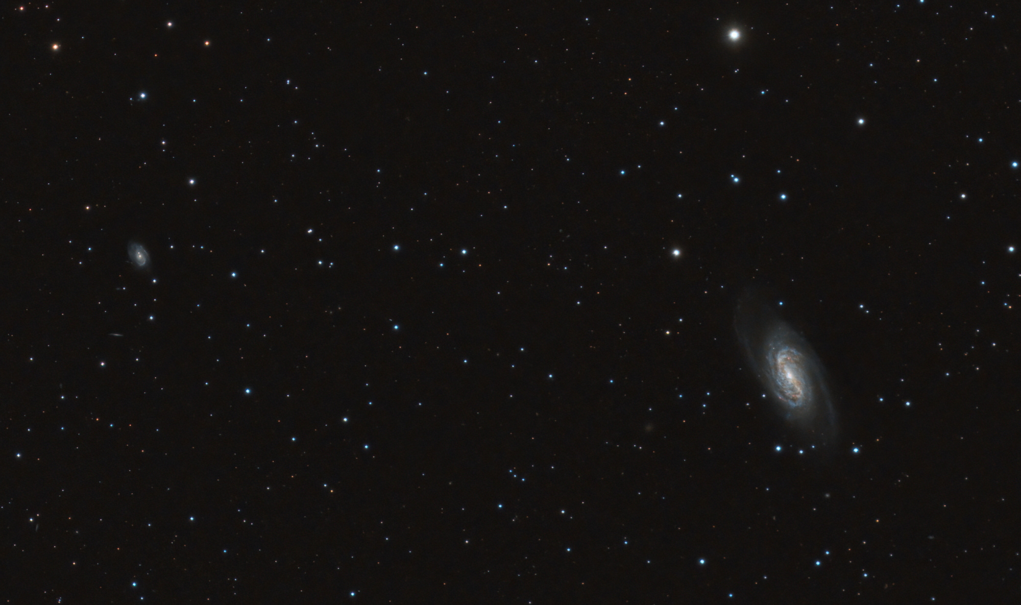 607585bb5af62_NGC2903-39x180sec-Berche-recadre.thumb.jpg.9ede2a7b2f0749e46dc59df1ce9bc92d.jpg