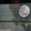 Lune DSC03741