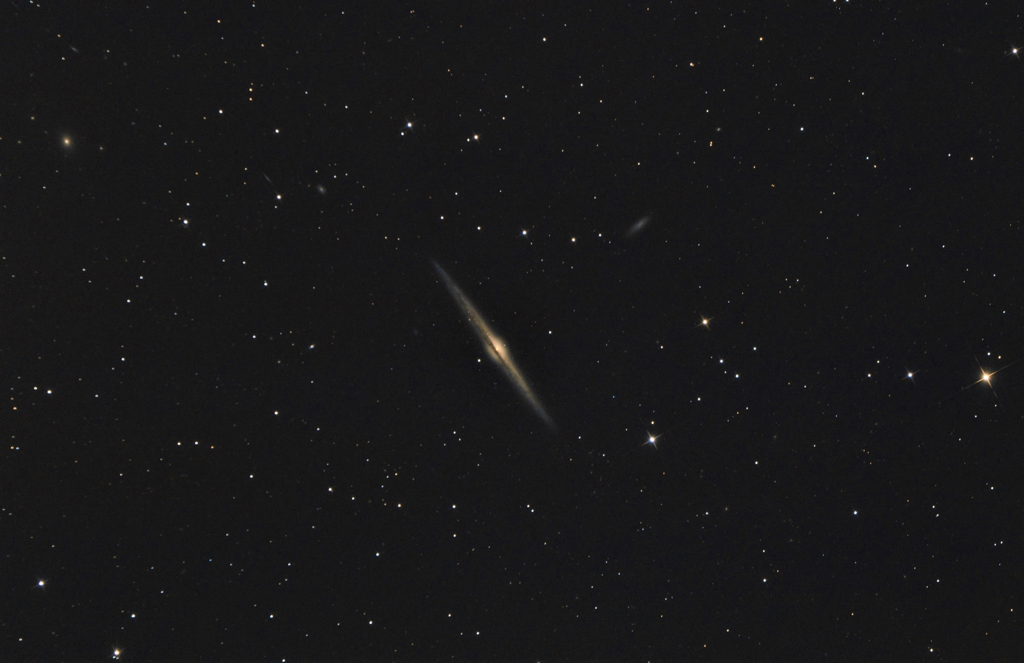 NGC4565 du 07 05 2021 traitée SIRIL JPG 100% + cosmétique W10.jpg