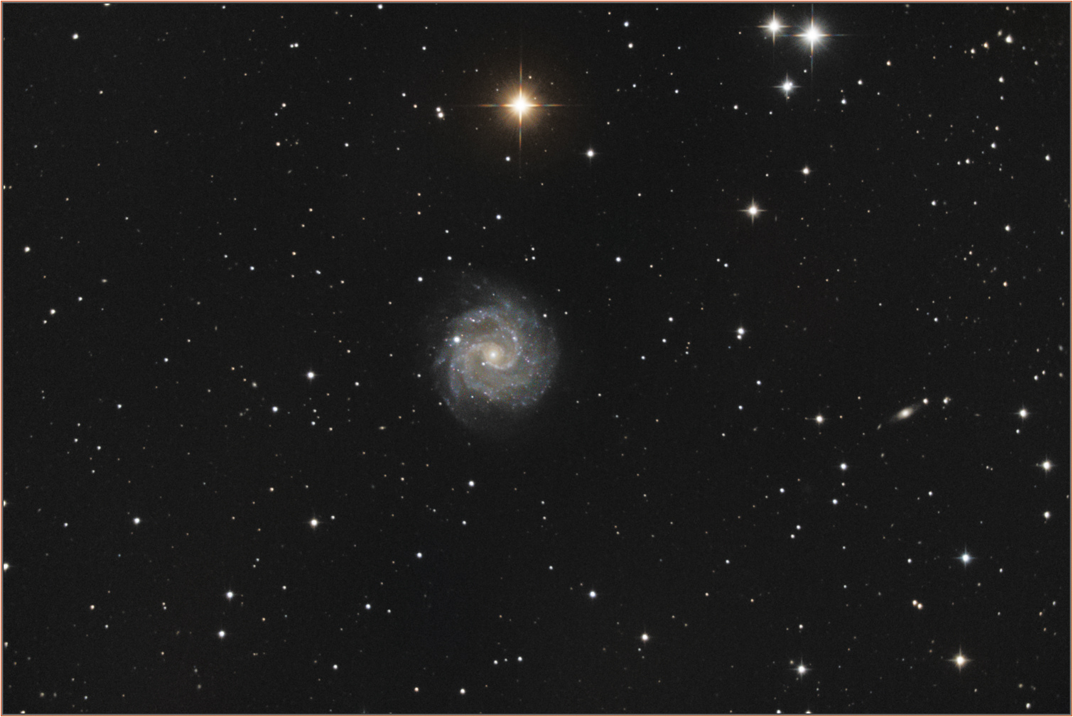 NGC3184Display.jpg.eaac554760e1c10b20c85a91b9e654c1.jpg