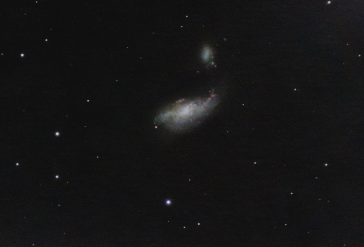 NGC4490_Penn_DB.jpg