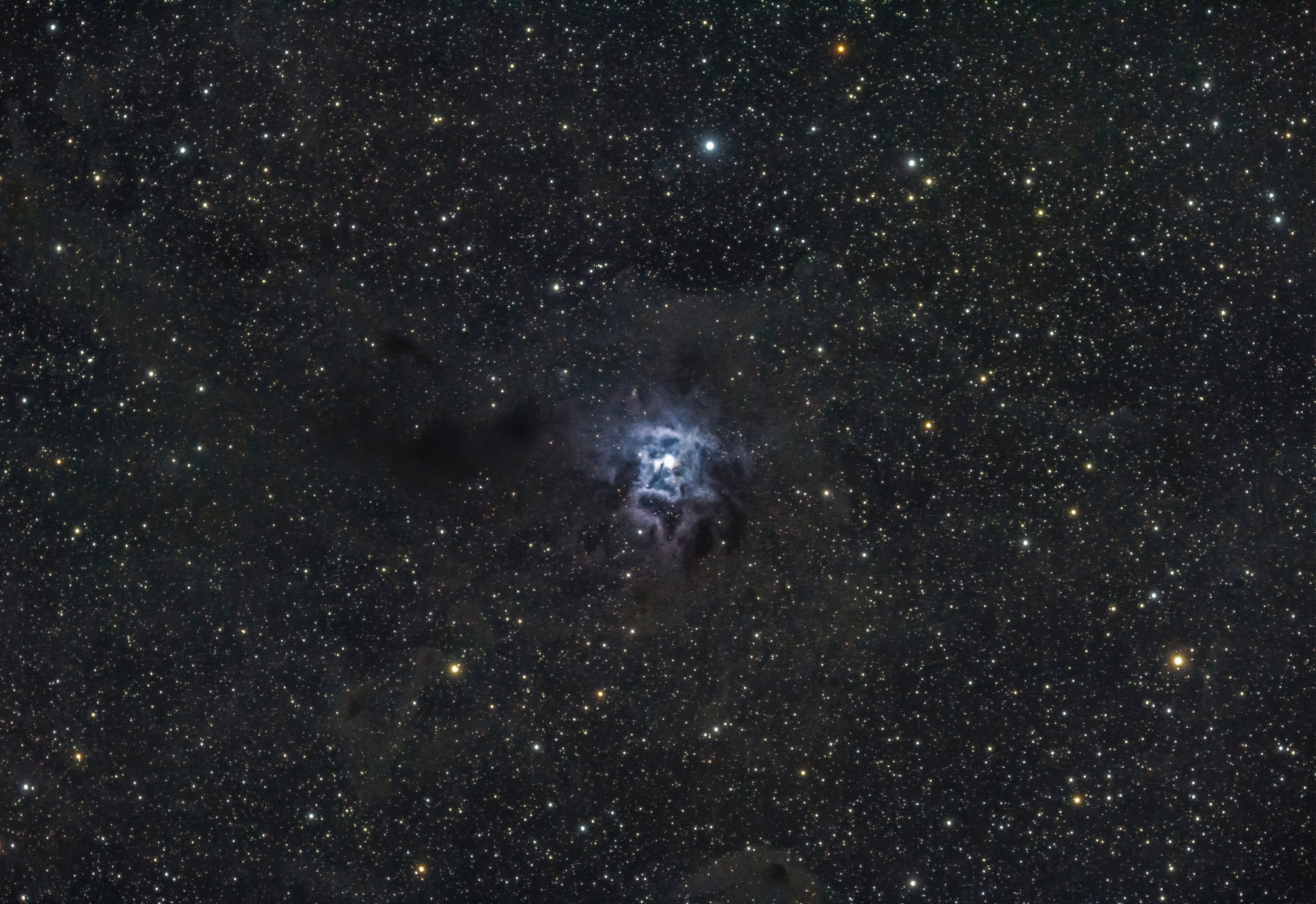 NGC7023_du_11_au_14_09.2020_11h00_de_pause_DeNoise-2-3-2.thumb.jpg.8b8df227aa3231d4b88c9e4d0bce57ef.jpg