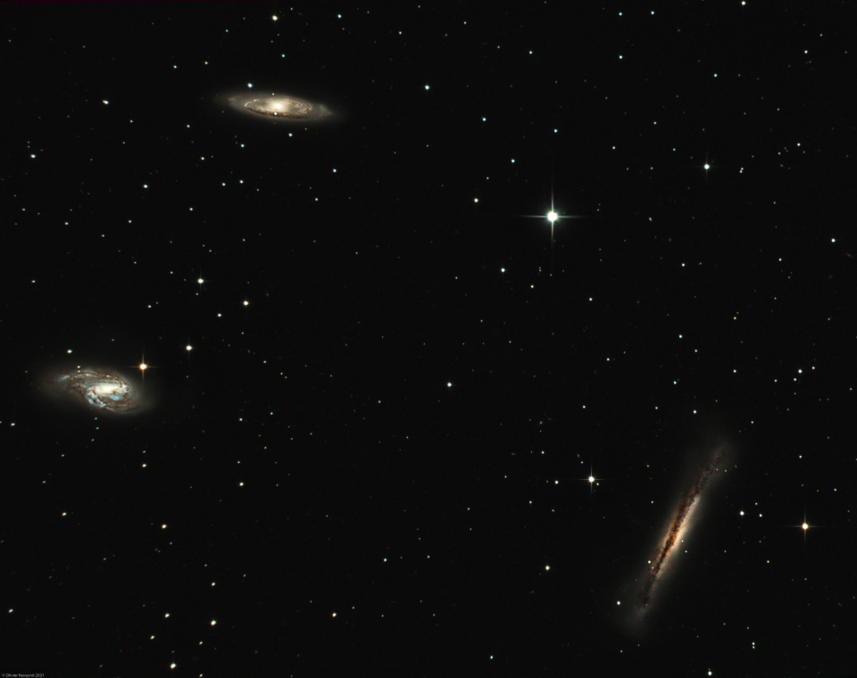 Le trio du Lion (M65, M66 & NGC3628)