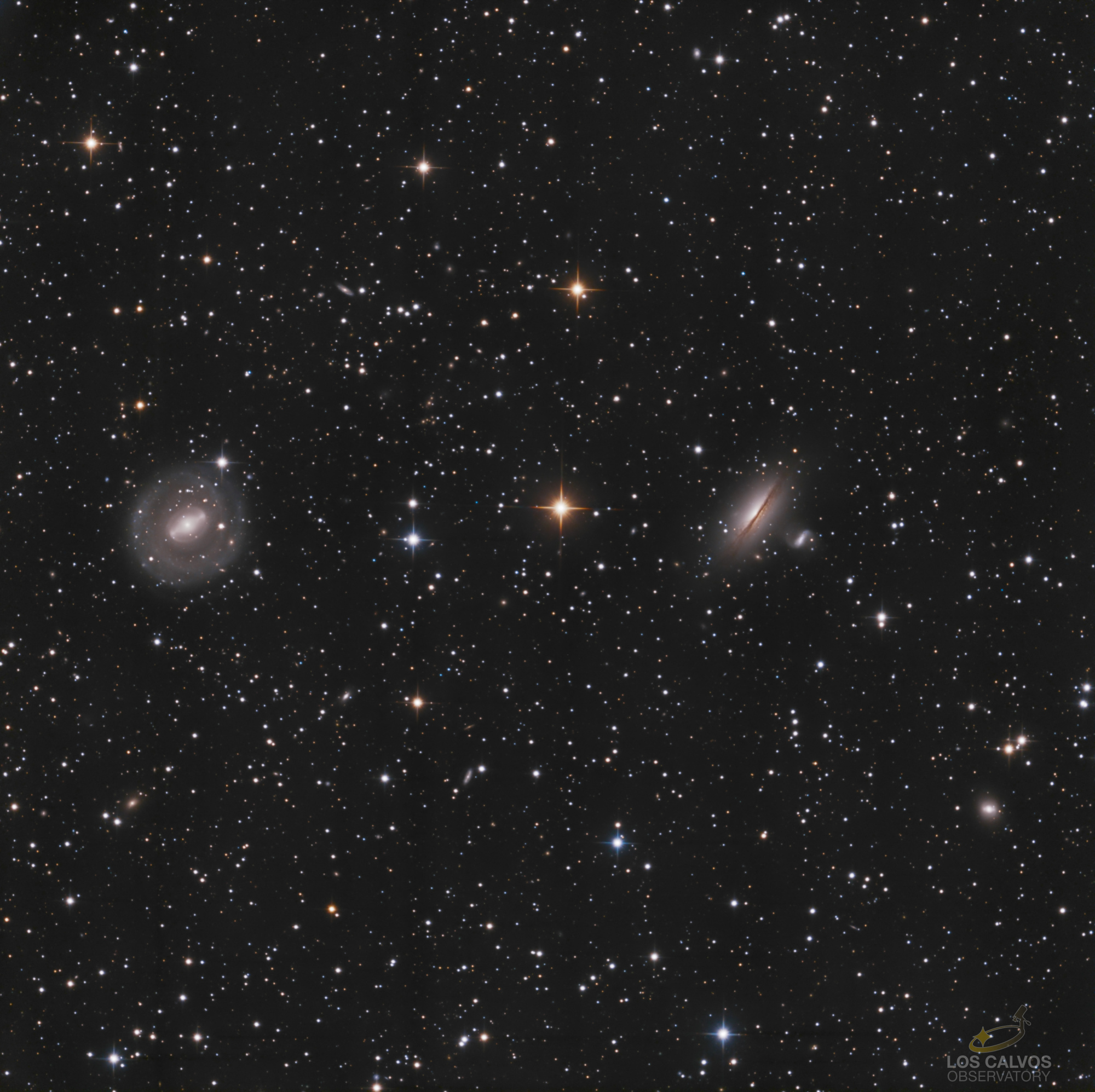 NGC_5101_Drizzle_BruteRGB_DBE_MMT80_NLLog+crb_PS_copie-resized&crp_Logo.jpg