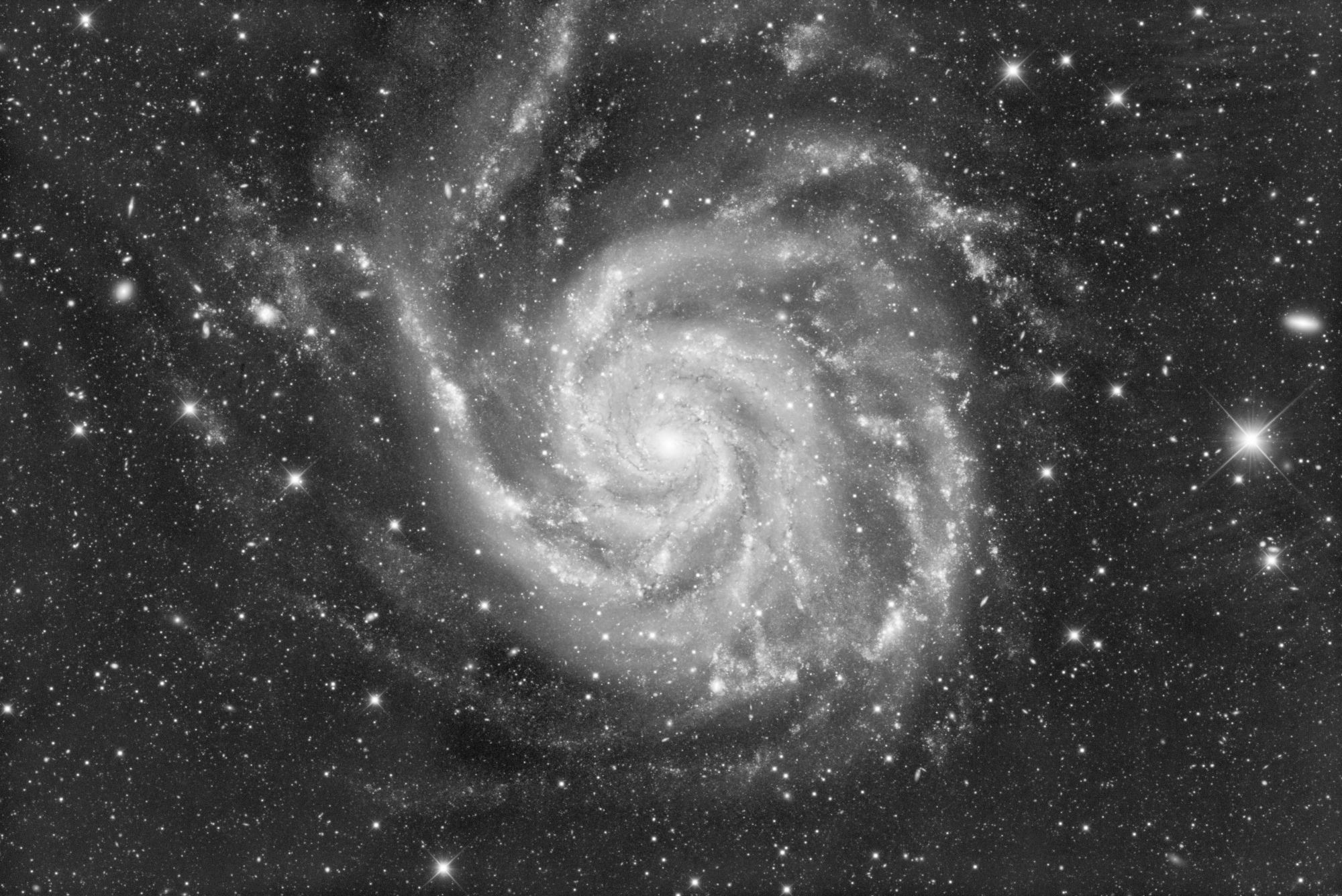 M101-COMPOSITE-BIS NB Fredo.jpg