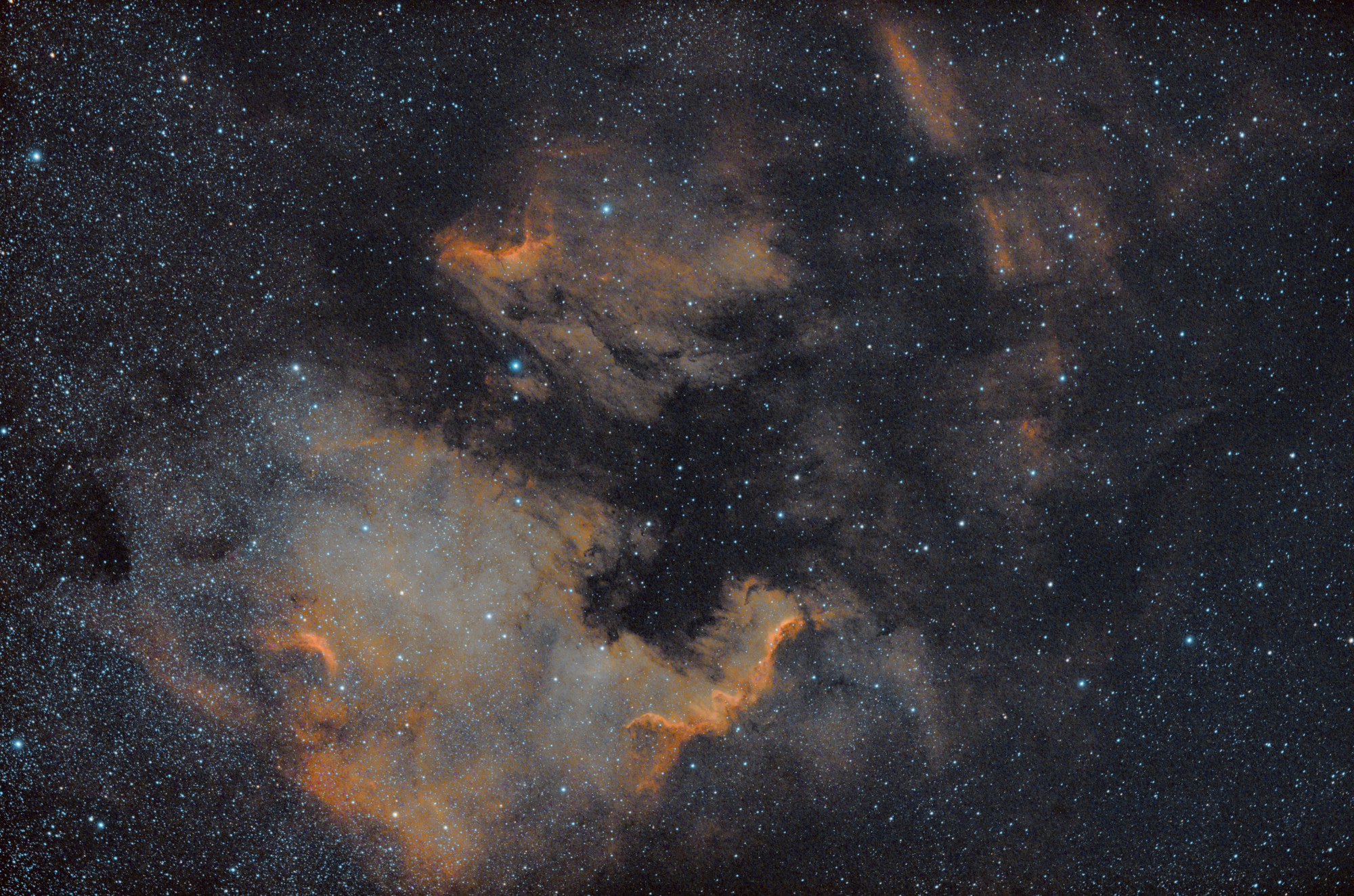 NGC7000V2_PS_LR.thumb.jpg.31dbef45c02487d0c29696880bc5acd1.jpg