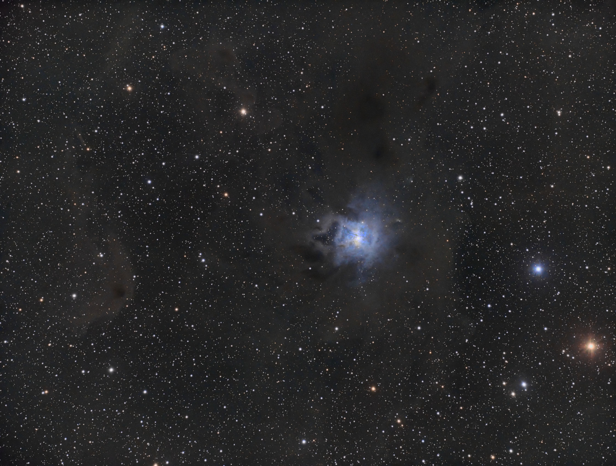NGC7023_n123_LRGB_Curves_CC_HDR_SR_Final.thumb.jpg.849a0c3fb8753a2ab56ea525958a3b76.jpg