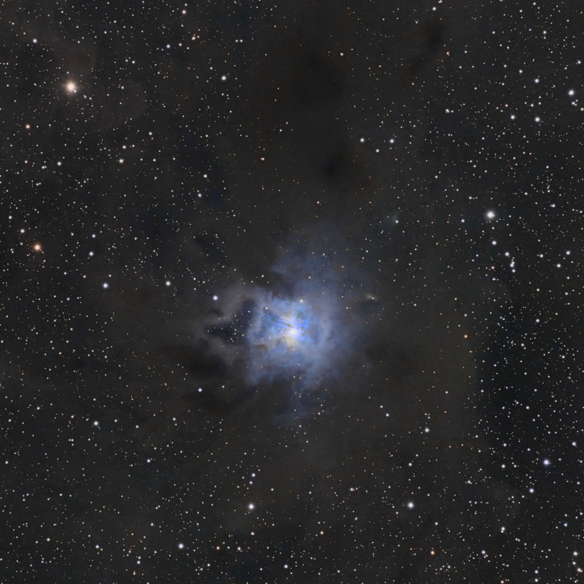 NGC7023_n123_LRGB_Curves_CC_HDR_SR_Final_solved_crop.thumb.jpg.36c2786acd89af1af59b17c1615d53b3.jpg