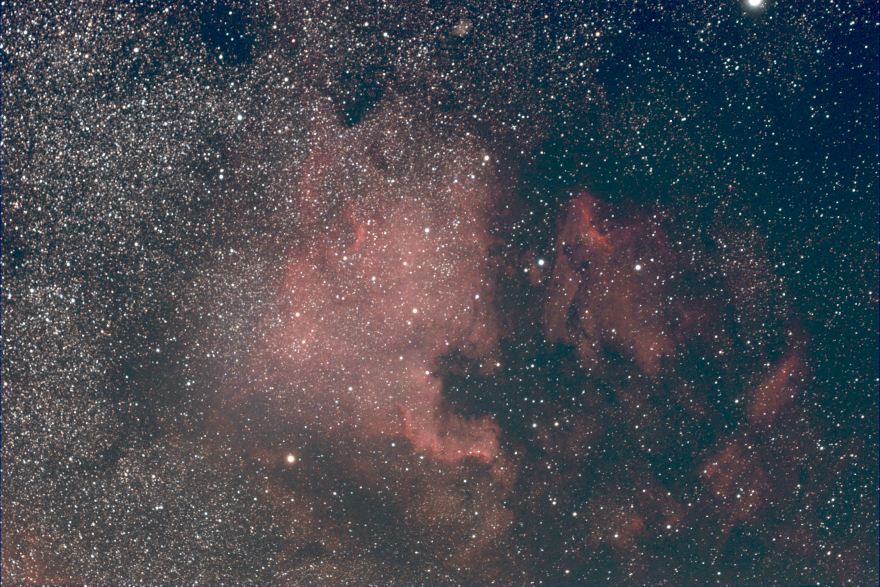 NGC 7000 North America.png