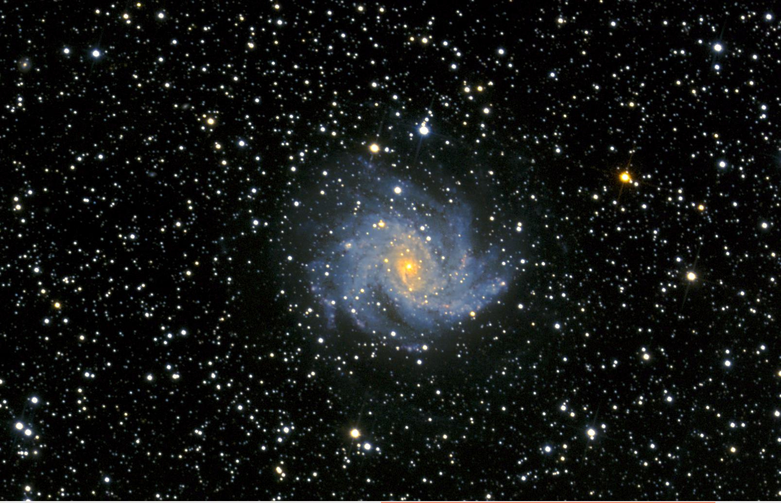 Crop_NGC6946.jpg.499ad131d064726291f870c6cd274a4d.jpg